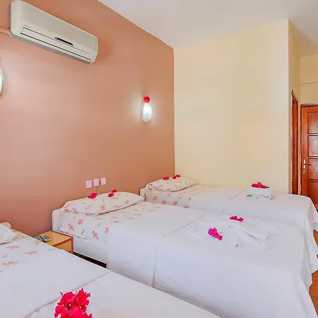 Hotel Saray *